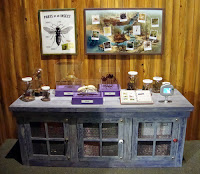 Insect Discovery Station