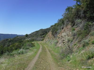 Limekiln Trail in Sierra Vista Open Space