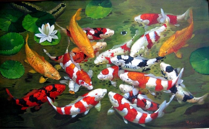  Gambar Lukisan Ikan Koi yang Cantik dan Indah
