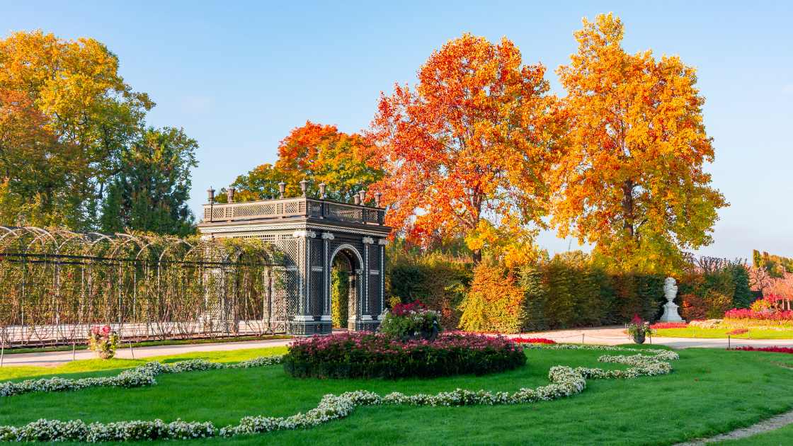 Best Things To Do in Vienna This Autumn