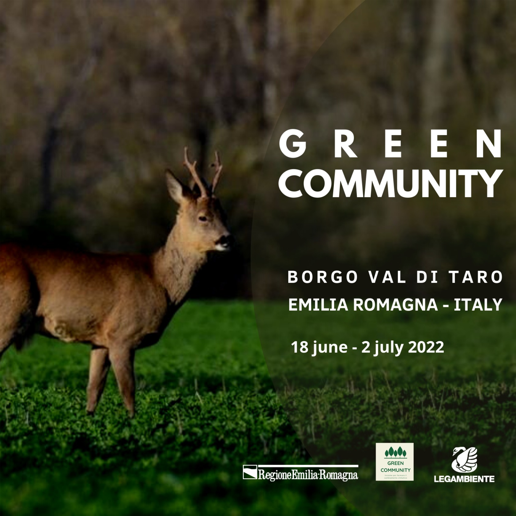 green community, deer, italy, volunteering, eco-projects, volunteer camps in Italy