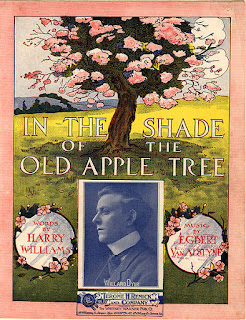 in the shade of the old apple tree