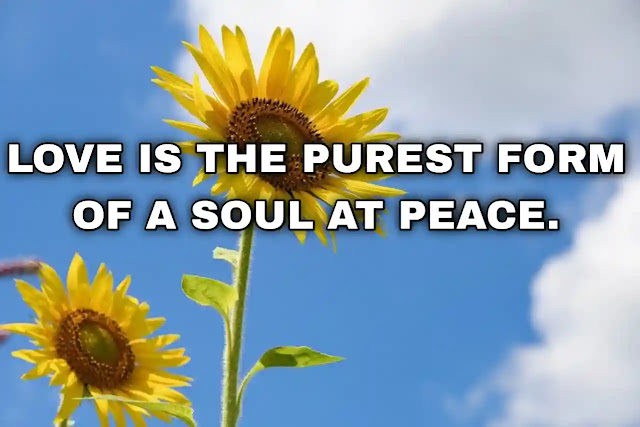 Love is the purest form of a soul at peace. Matthew Donnelly