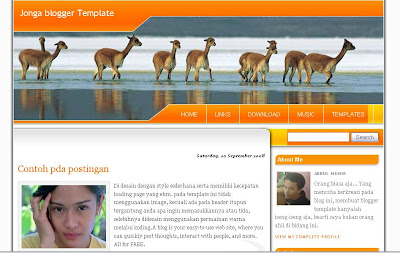 Template  yang pas buat personal blog