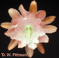 clip_image037