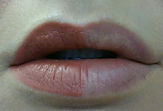 Wet n Wild Megalast Matte Lipstick - In the Flesh 912C