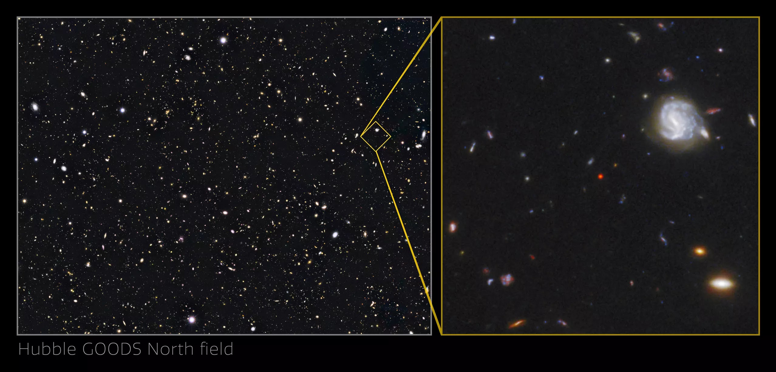 El Hubble hizo un acercamiento al universo antiguo y detectó el agujero negro de rápido crecimiento, llamado GNZ7q. Fuente: NASA, ESA, Garth Illingworth (UC Santa Cruz), Pascal Oesch (UC Santa Cruz, Yale), Rychard Bouwens (LEI), I. Labbe (LEI), Cosmic Dawn Center/Niels Bohr Institute/Universidad de Copenhague, Dinamarca