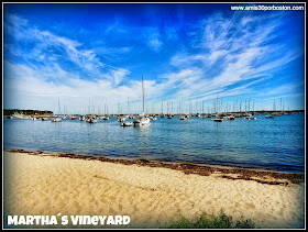 Martha´s Vineyard, Playas de Massachusetts