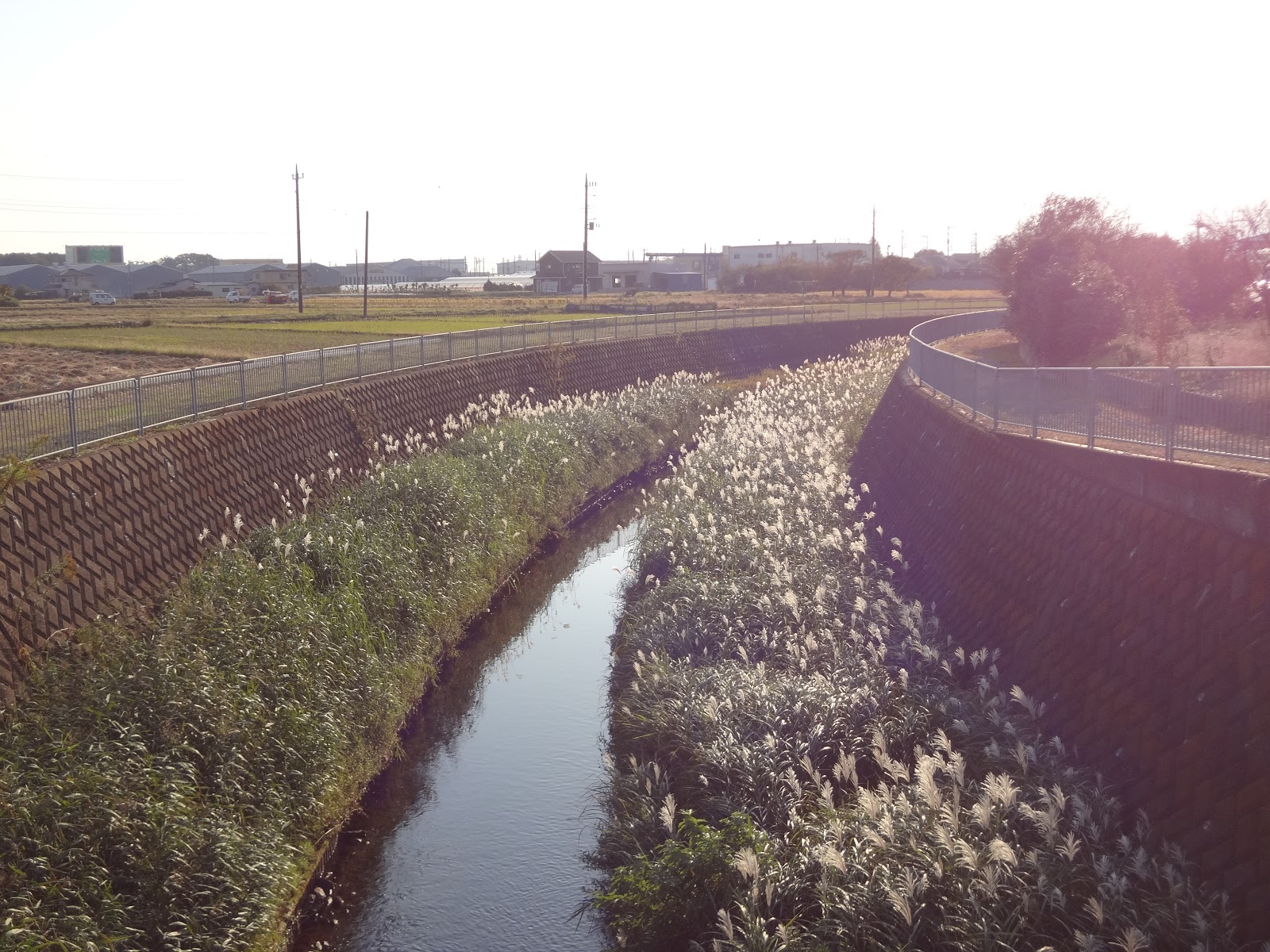 永池川 海老名駅 門沢橋駅 海老名ログ