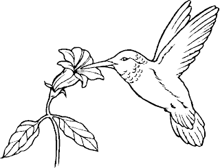 bird coloring pages, animal coloring pages