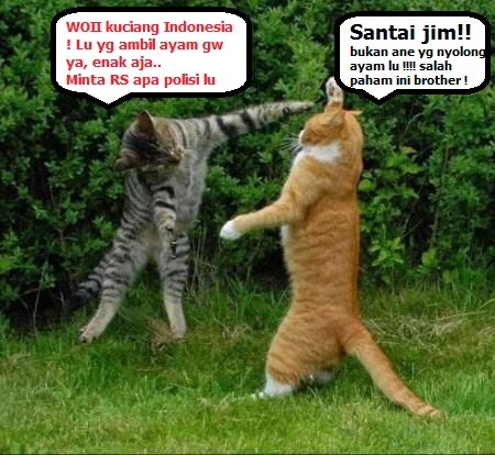 Foto Gokil Lucu Banget Koleksi Gambar Dan Foto Menarik 
