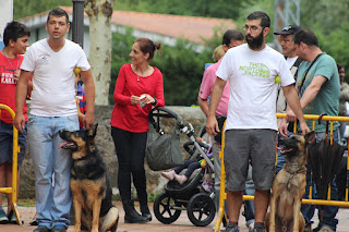 Los perros de la asociación GT Wurssy causan admiración en las fiestas de El Regato