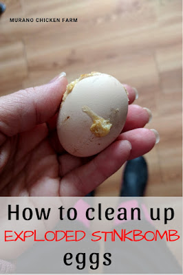 Cleaning up a stink bomb egg