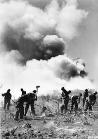 Climbing My Family Tree: CCC work to control the Malibu fire near Angeles National Forest, California, in 1935 