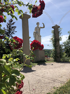 ドイツのローズ・ガーデンをお散歩〜Rosensteinpark Stuttgart〜