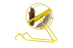 Hamster Cage - iStock_000007687700XSmall