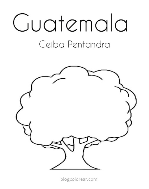 dibujo para colorear de Ceiba Pentandra Guatemala