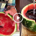 He Hollows Out A Watermelon And Pours In Boiling Water. Why GENIUS!