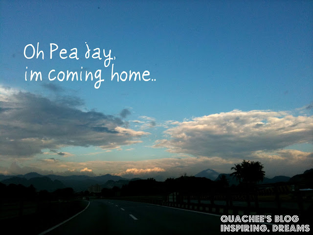 coming home, pj