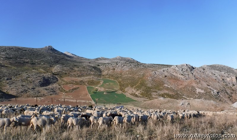 Valle de Lifa