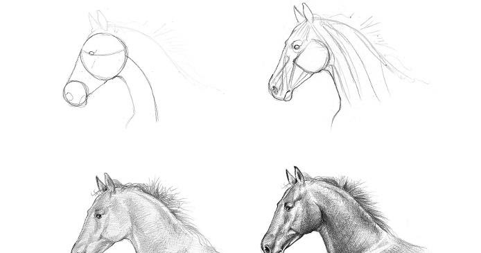 How To Draw A Mustang Horse - Draw a Horse Show Jumper in Colored