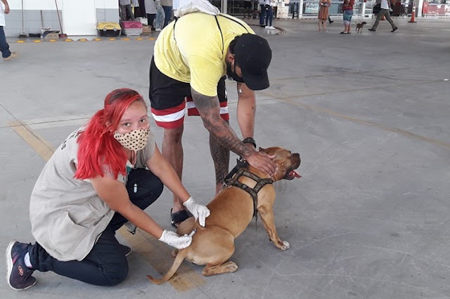 CCZ realiza Dia D de Vacinação Antirrábica para cães e gatos no sábado