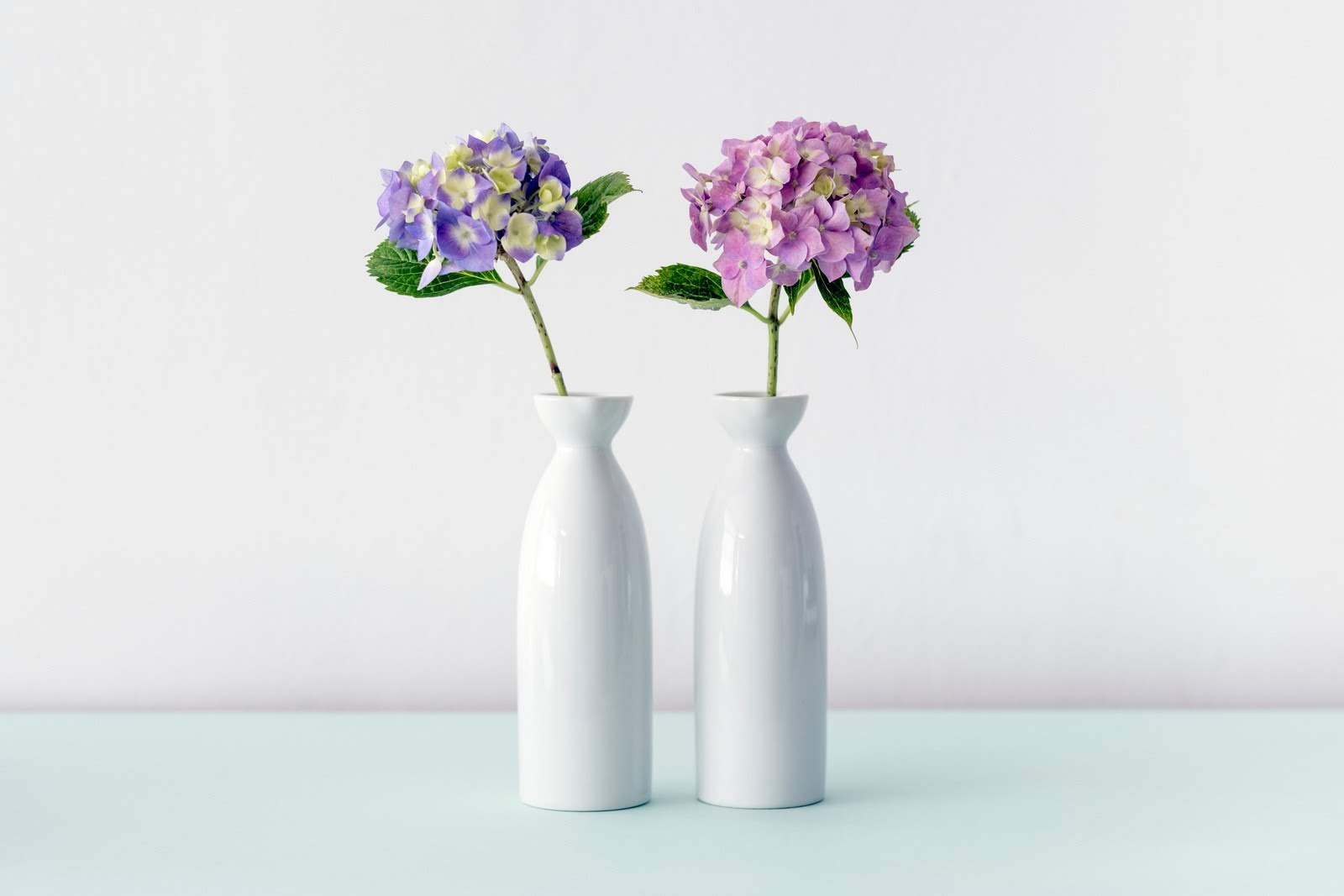 Two Hydrangea Vases | Photo by Maarten Deckers via Unsplash