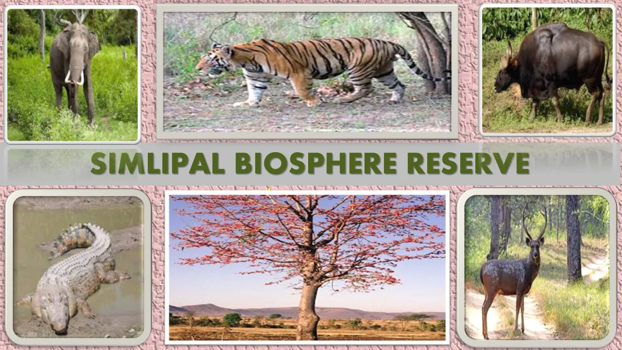 Simlipal Biosphere Reserve