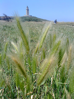 Flower and Tower   Sprint in Tower of Hercules (Corunna, Spain)   by E.V.Pita   http://evpita.blogspot.com/2011/05/flower-and-tower-flores-torre-de.html   Flores + Torre de Hércules  (Primavera en Torre de Hércules, A Coruña)  por E.V.Pita