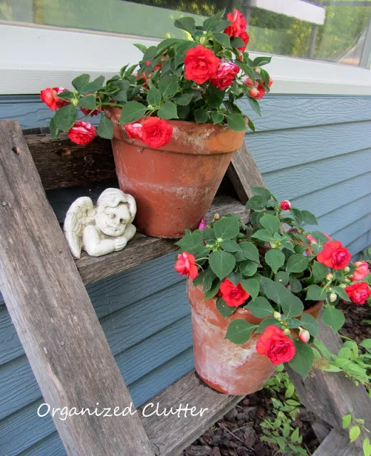 Rustic Ladders in the Junk Garden