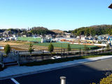 田園