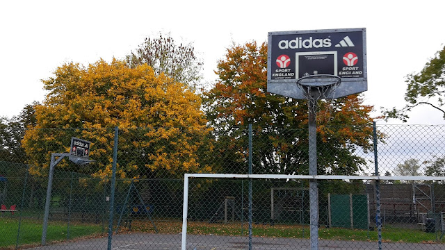 Project 365 2015 day 296 - Basketball // 76sunflowers