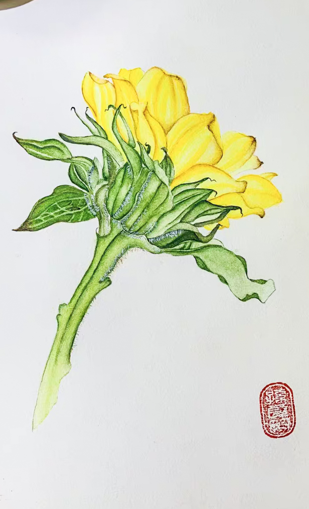 18Flowers Watercolor painting skill tips, come to see my tips-hinewme