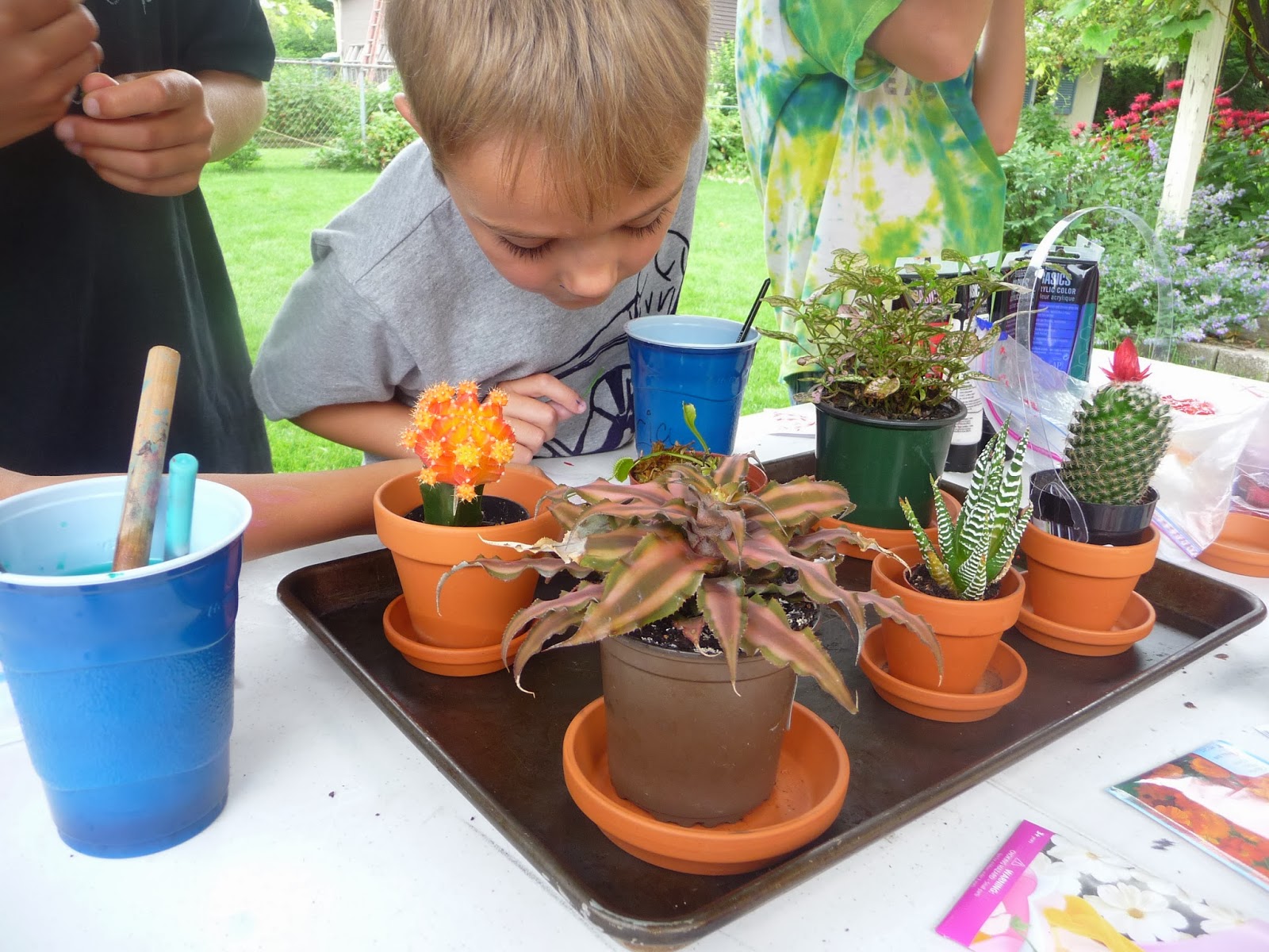The Making Of Harry Potter Camp 2013 Herbology
