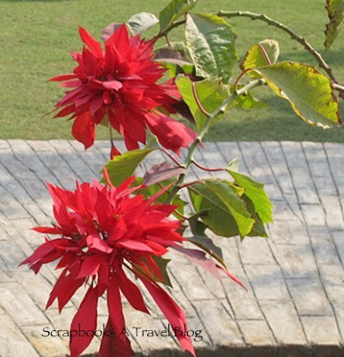 Kumhrar Park Patna Bihar