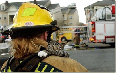Rescued