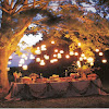 Themed Dinner Party Ideas For Adults / Medieval Times Feast At Home Dinner Party Ideas Parties With A Cause / These dinner party ideas will make holiday entertaining a joy.