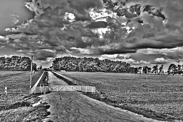 Paisaje en B&N.tranquera en campo con un cielo nuboso.