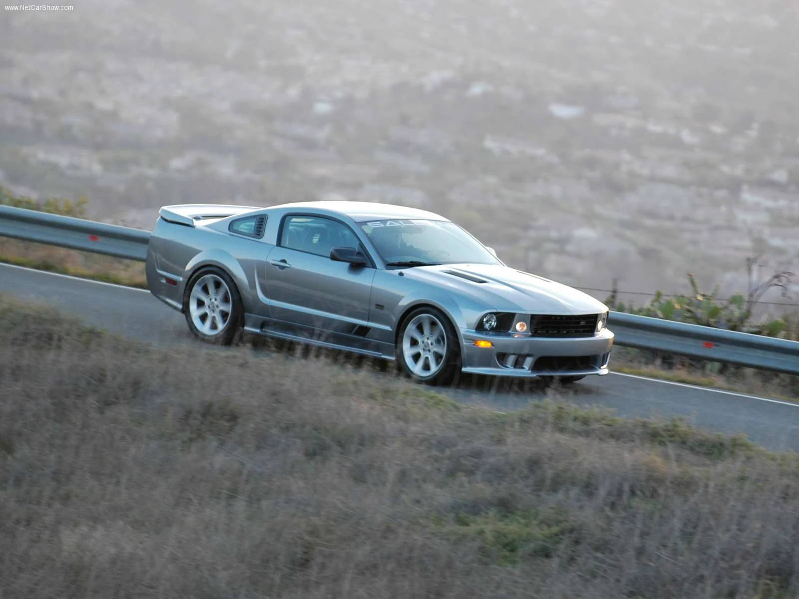 Hình ảnh xe ô tô Saleen Ford Mustang S281 Supercharged 2005 & nội ngoại thất