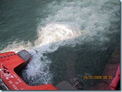 IMG_3075 IMG_3075