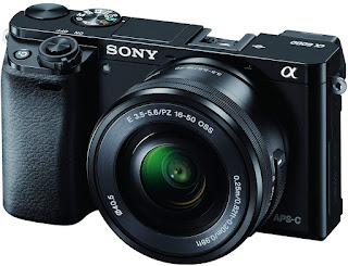 Sony Alpha A6000L 24.3MP Mirrorless Camera (Black) + 16-50mm Lens with Carry Case 