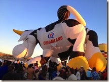 IMG_1122