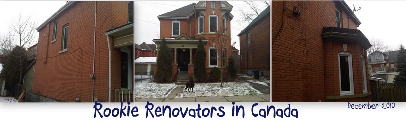 Rookie Renovators in Canada