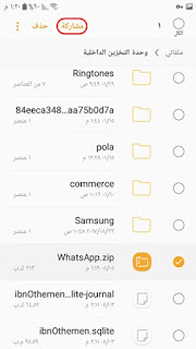 Whatsapp plus gold share chat file