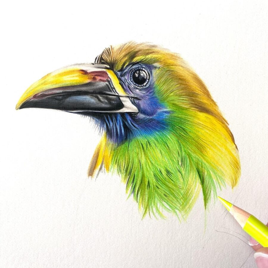04-Colourful-bird-Rebecca-Neundorf-Animal-Art-www-designstack-co