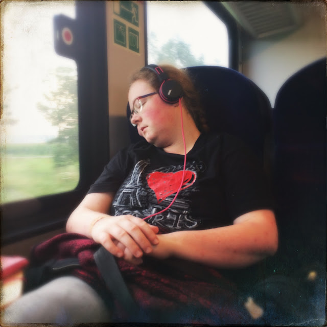 Slapende treinpassagier. Hipstamatic: Loftus + Sussex. Foto: Robert van der Kroft
