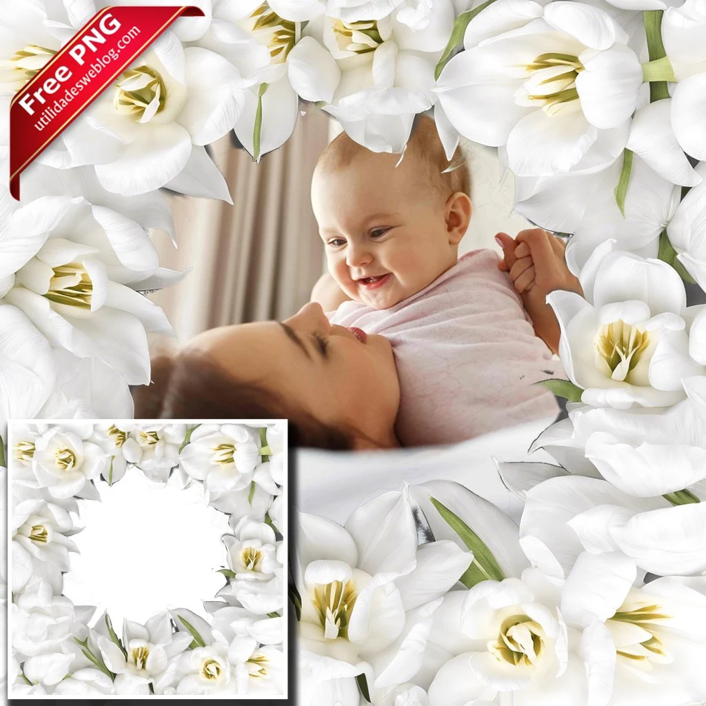 marco para fotos con flores de tulipanes blancos en png con fondo transparente para descargar gratis
