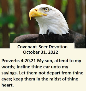 Curtains Coming Down Every Scripture is a Covenant-Vision: ready to be seen, animated with Light of Righteousness & Life of Rest, ready to be prophesied and ready to reveal prophetic insight to the Kingdom enlightening the Covenant-Eye to Eye. Covenant-Eyes rest in Righteousness, as One with the God-Head. Only then will the Holy Spirit open the Door to see.