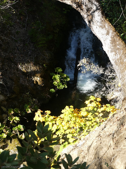 waterfall with a log vertical in the middle