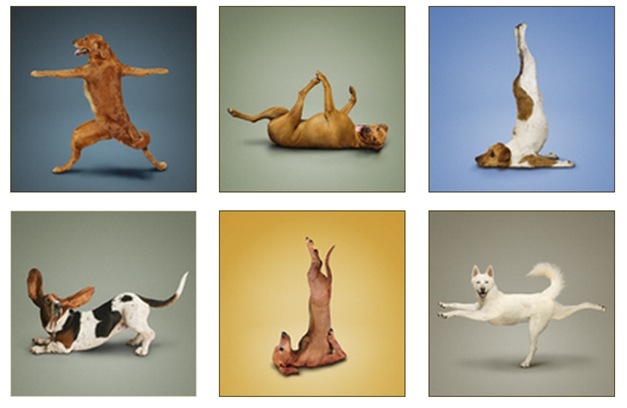 caesyoga20092